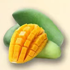 小台芒